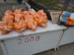 沼津市西浦のみかん無人販売2.JPG